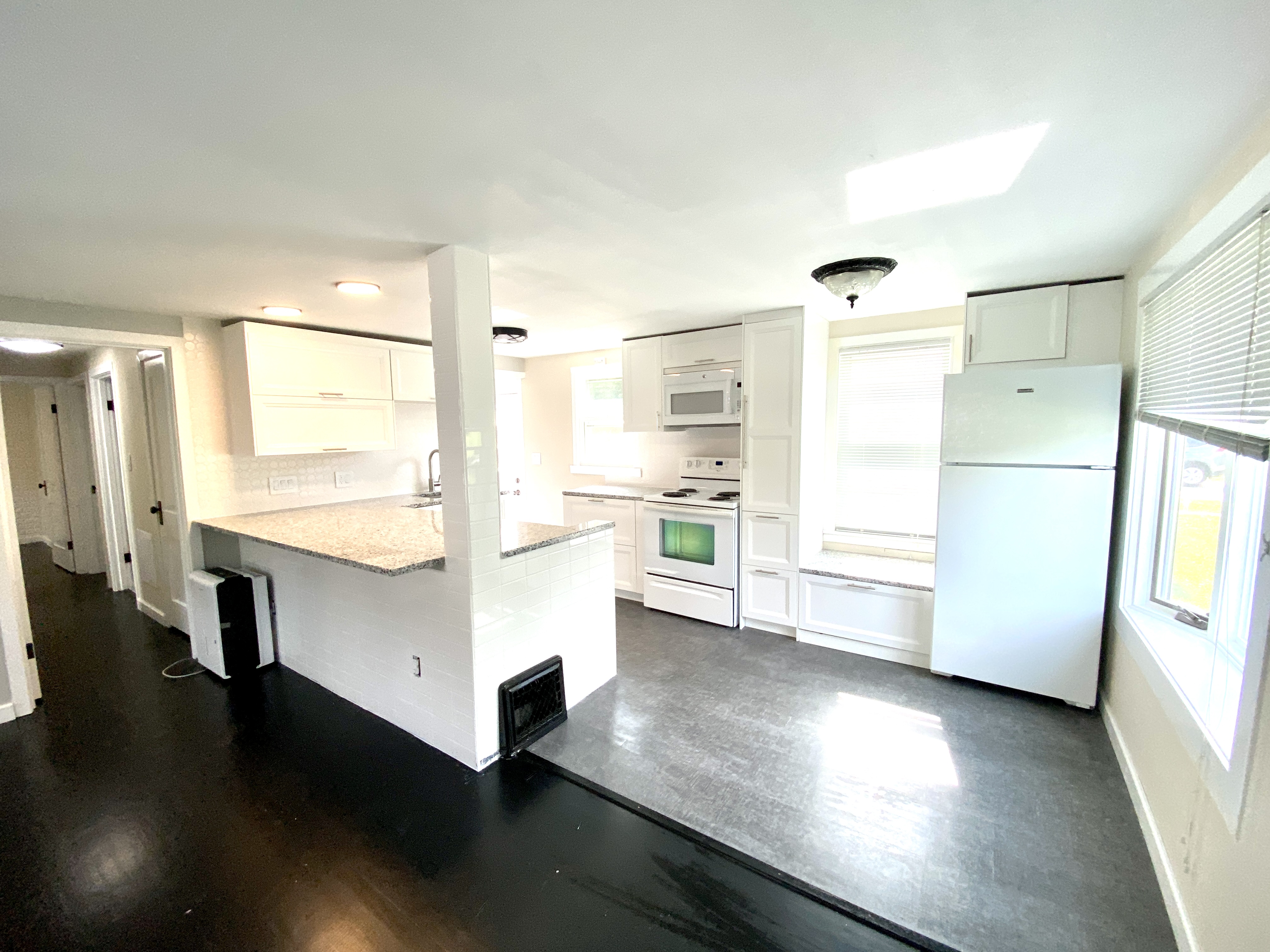 South Avenue contemporary renovation